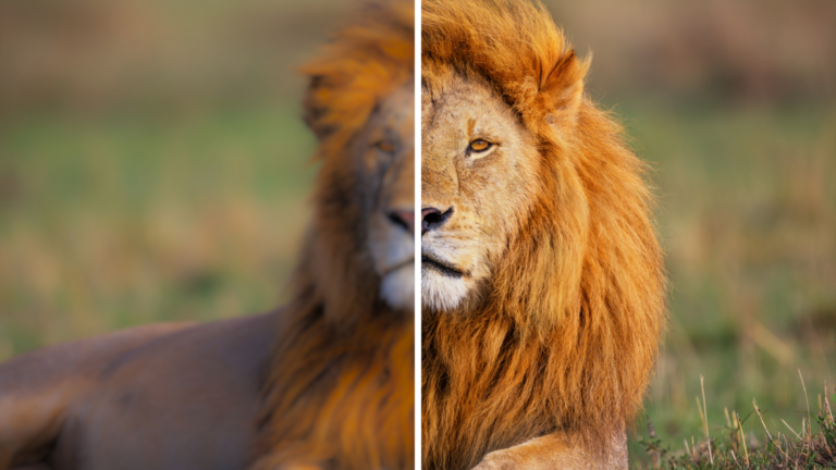 Watermark Removal or Video Enhancement