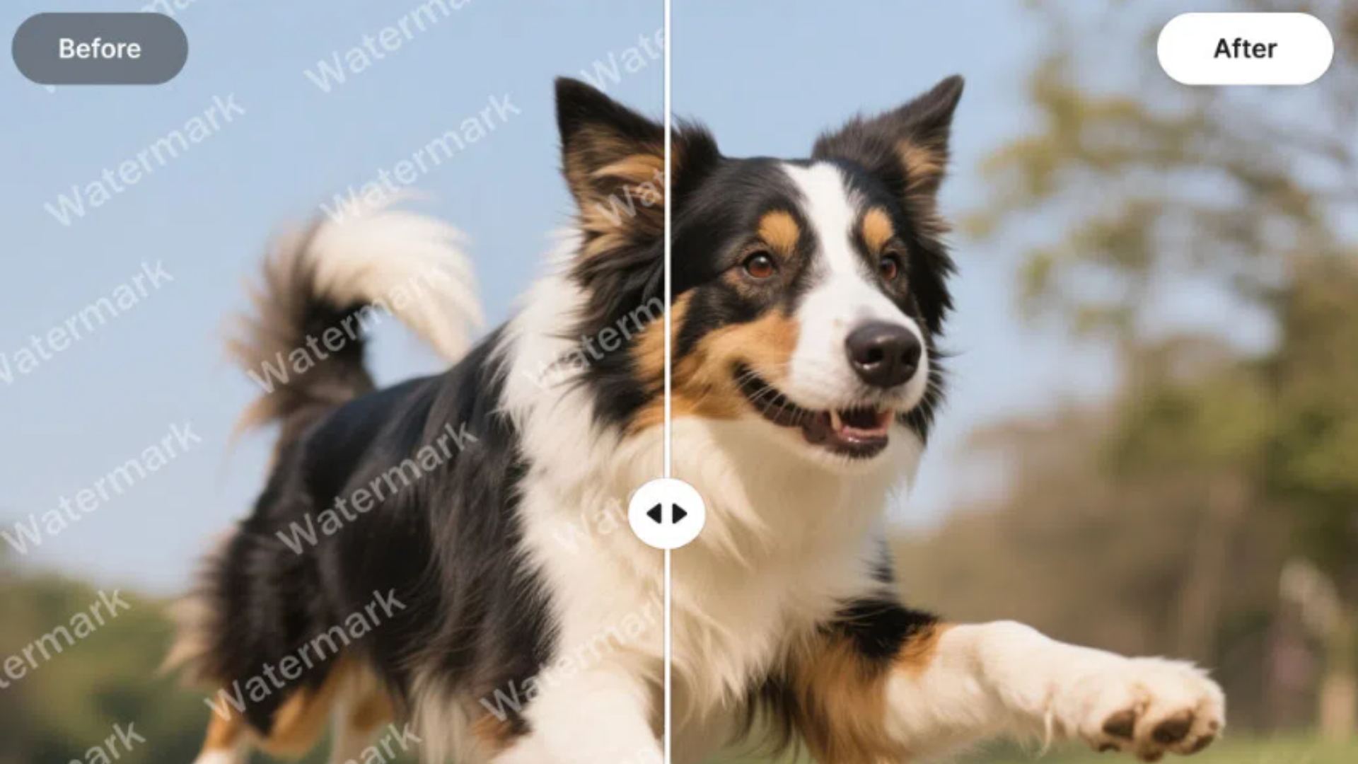 before and after